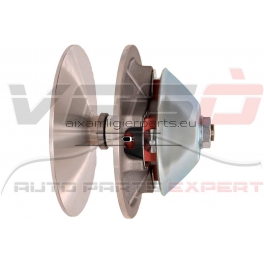 Variatorius (AIXAM : 400, EVOLUTION, 400.4, 500.4, PICK UP, MINIVAN, A721, A741)